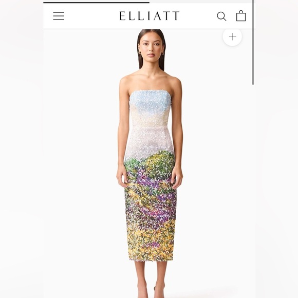 Elliatt Dresses & Skirts - March 16- listing will be removed. NWT ELLIATT ARDEN DRESS size M